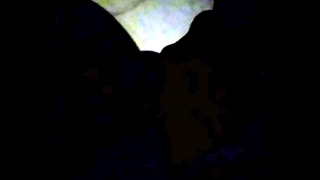 Asian Cindy Sucking BBC