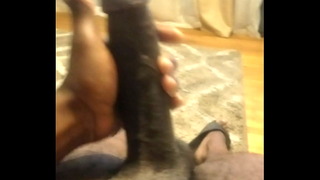 Big Black S.