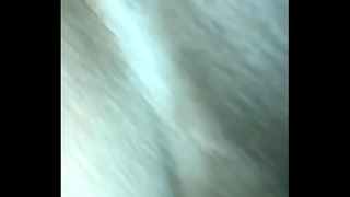 Black Cock