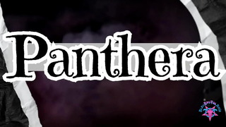 Bleubrutalrose – Panthera … BBC , Blowjob , Milf , PAWG , Ass Worship Red Trailer