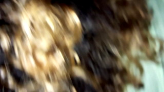 Latina Takes BBC, Camera Just Misses Cum Shot