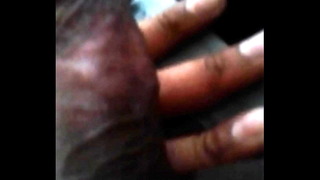 Salvi BBC