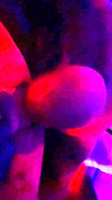 lupe first time bbc